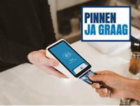 Pinnen